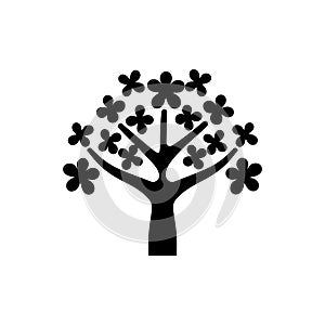 Cherry blossom tree icon