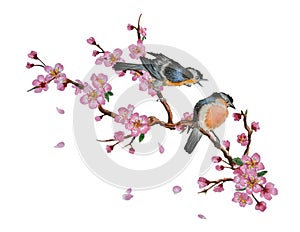 Cherry blossom and two birds on tree