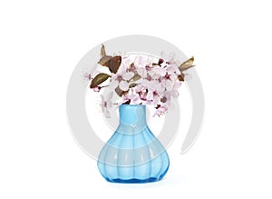 Cherry blossom in a vase