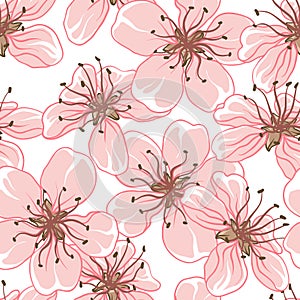 Cherry blossom vector background. (Seamless