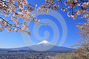 Cherry blossoms at Arakurayama Sengen Park and Mount Fuji