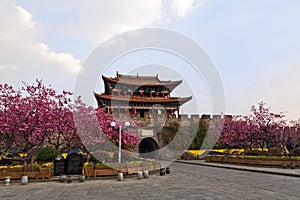 Cherry Blossoms at Chinese Gate