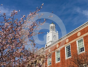 Cherry blossoms frame the facade of the Delaware City Hall in Ohio