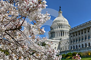 US Capitol Building - Washington, DC
