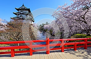 Cherry blossoms and Hirosaki Castle photo