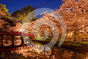 Cherry blossoms at Hirosaki Park photo