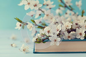 Cherry blossoms and old book on turquoise background, beautiful spring flower, vintage card