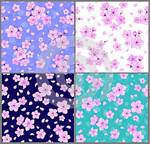 Cherry blossoms seamless patterns