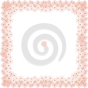 Cherry blossoms in spring frame C