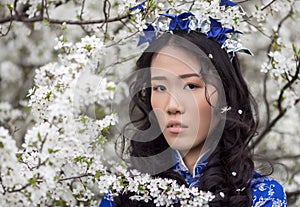 Cherry blossoms - Tender Asian girl in Ao Dai