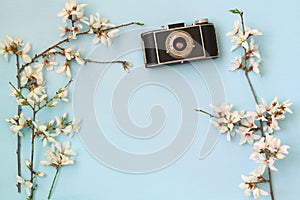 cherry blossoms tree next to old camera