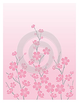 Cherry Blossoms-Vertical