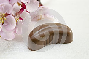 Cherry blossoms on white background and a chocolate