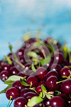 Cherry on a blue background, close-up