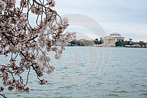 Cherry Bossum in Washington, D.C. Behind seen Boating In DC at Tidal Basin Pedal Boats