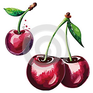 Cherry cherries vector illustration.