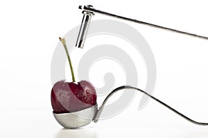 Cherry and Corer photo