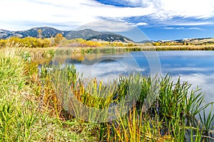 Cherry Creek Preserve