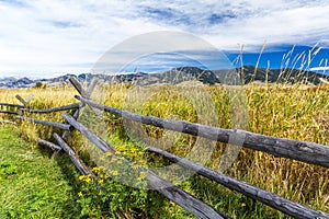 Cherry Creek Preserve photo