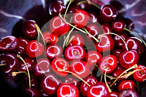 Cherry Delight: Juicy Gems Glistening in a Sunlit Display