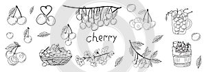 Cherry doodle vector stock illustration. One cherry berry, a cut cherry with a pit