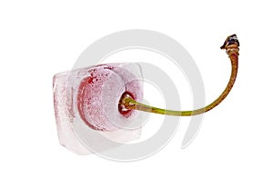 Cherry frozen in ice cube, white background