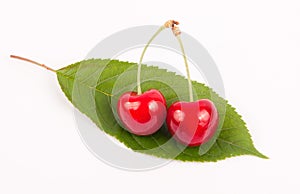 Cherry fruit