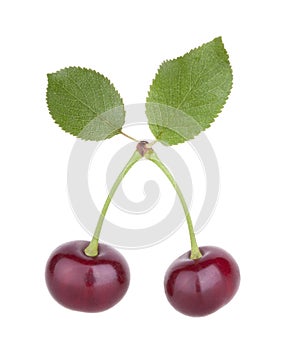 Cherry fruit