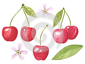 Cherry fruit  clipart set. Hand drawn watercolor illustration