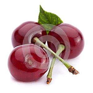 Cherry fruit closeup