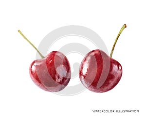 Cherry fruit hand drawn watercolor illustration isolated on white background