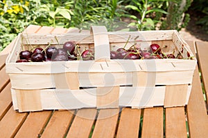 Cherry fruits in a basket