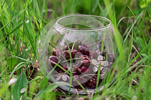 Cherry in a glass container, cherry berries in a glass Cup