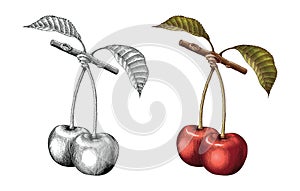 Cherry hand drawing vintage engraving illustration black and white with fill color