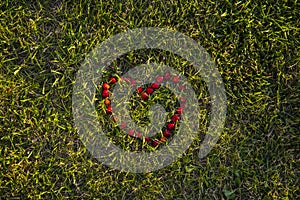Cherry heart on the grass