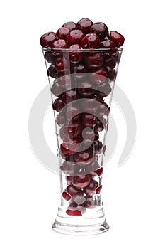 Cherry in high glass