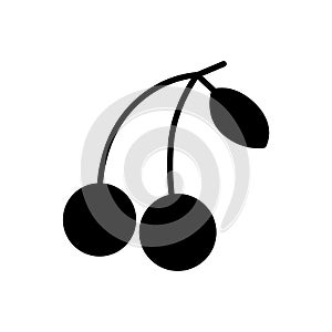 Cherry icon simple flat vector illustration