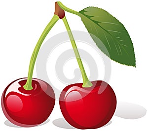 Cherry illustration