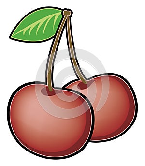 Cherry Illustration