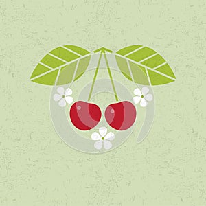 Cherry illustration. Cherry with leaves and flowers on shabby background. Flat design.