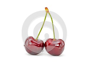 Cherry isolated. Cherry on white. Cherries. With clipping path