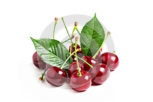 Cherry isolated. Sour cherry. Cherries with leaves on white background. Sour cherries on white