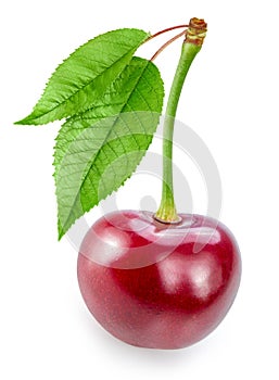 Cherry isolated on white