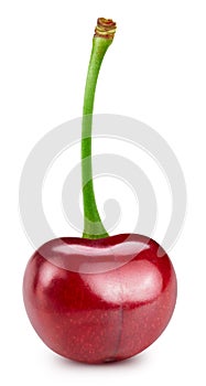 Cherry isolated on white