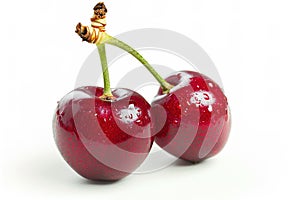 Cherry isolated on white background