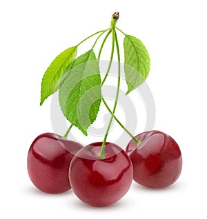 Cherry isolated on white background