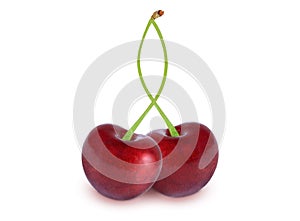 Cherry on an isolated white background photo