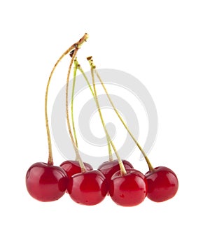 Cherry isolated on white background closeup