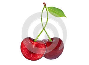 Cherry on an isolated white background. photo