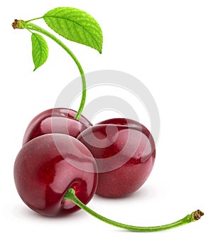 Cherry isolated on white background. Three Cherries group